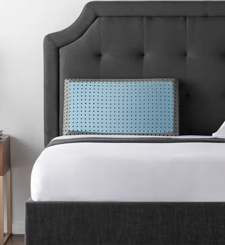 Bed Pillows Showcase